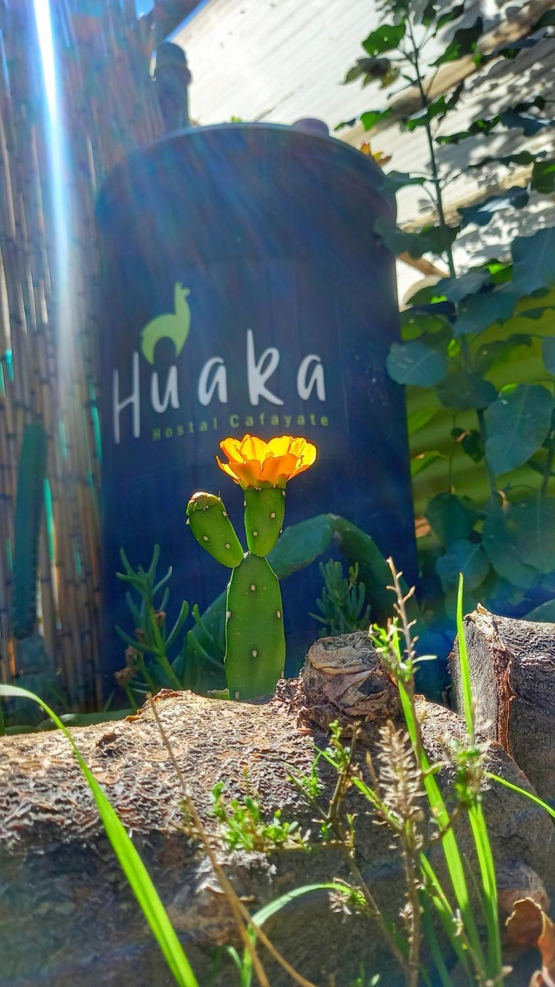 Huaka Hostel And Guest House Cafayate Exterior foto